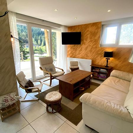 Apartmán Aux Pieds Des Pistes 4/6 Personnes Gérardmer Exteriér fotografie
